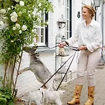 Ferienhaus Mammaloewagen Super De Luxe