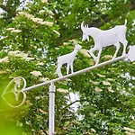 Ferienhaus Mammaloewagen Super De Luxe