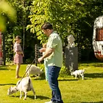 Ferienhaus Mammaloewagen Super De Luxe Heythuysen