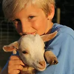 Ferienhaus Mammaloewagen Super De Luxe