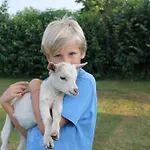 Ferienhaus Mammaloewagen Super De Luxe Heythuysen