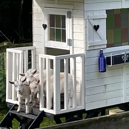 Holiday home Mammaloewagen Super De Luxe, Prive Hottub En Zwembad *