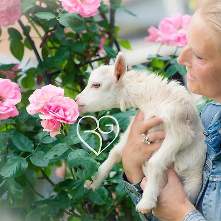 Mammaloewagen Super De Luxe * Heythuysen