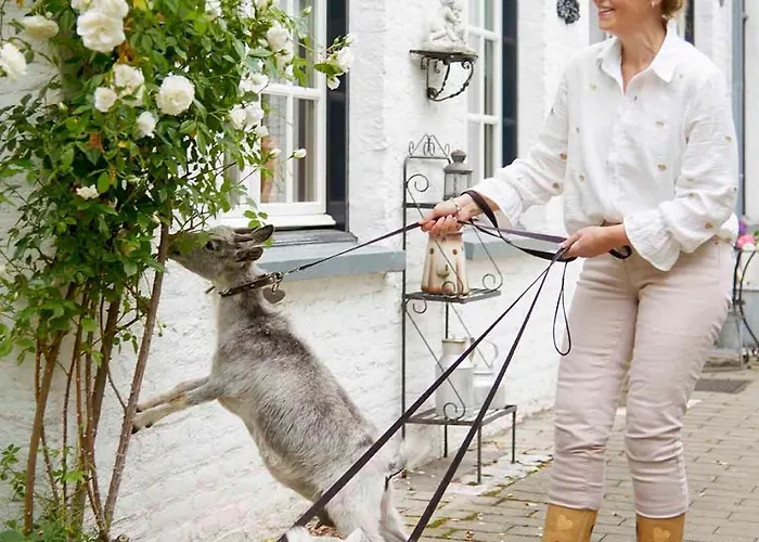 Vakantiehuis Mammaloewagen Super De Luxe