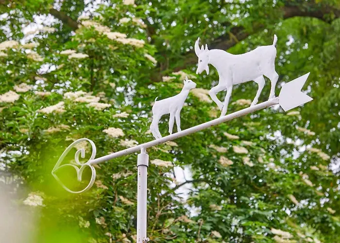 Vakantiehuis Mammaloewagen Super De Luxe