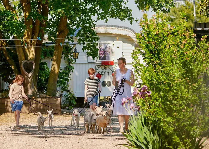 Mammaloewagen Super De Luxe Vakantiehuis *
