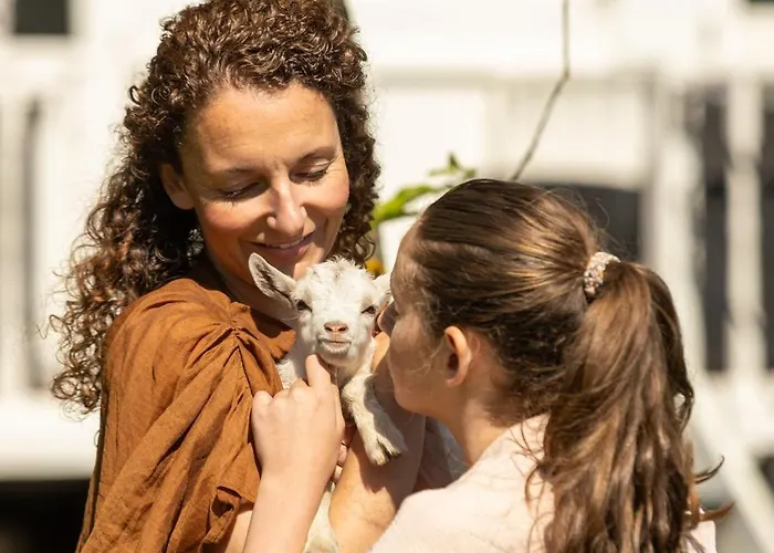 Mammaloewagen Super De Luxe Heythuysen