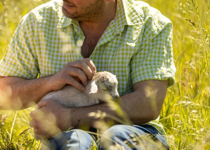 Mammaloewagen Super De Luxe Vakantiehuis
