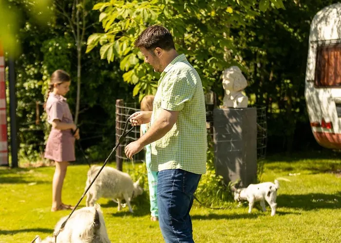 Vakantiehuis Mammaloewagen Super De Luxe Heythuysen
