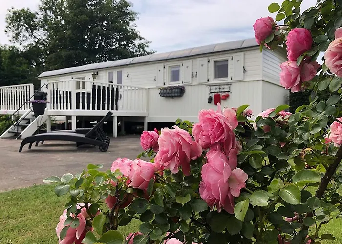 Mammaloewagen Super De Luxe Heythuysen