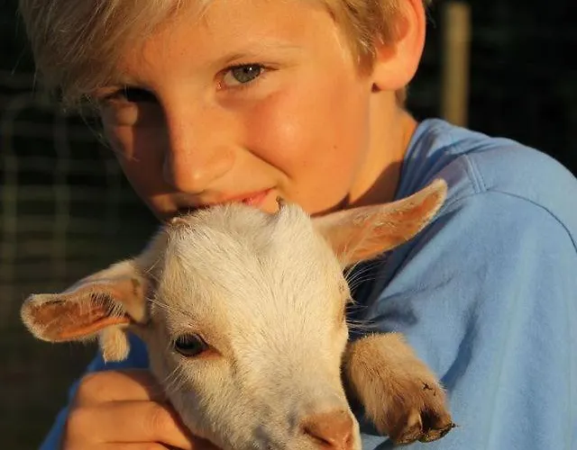 Vakantiehuis Mammaloewagen Super De Luxe