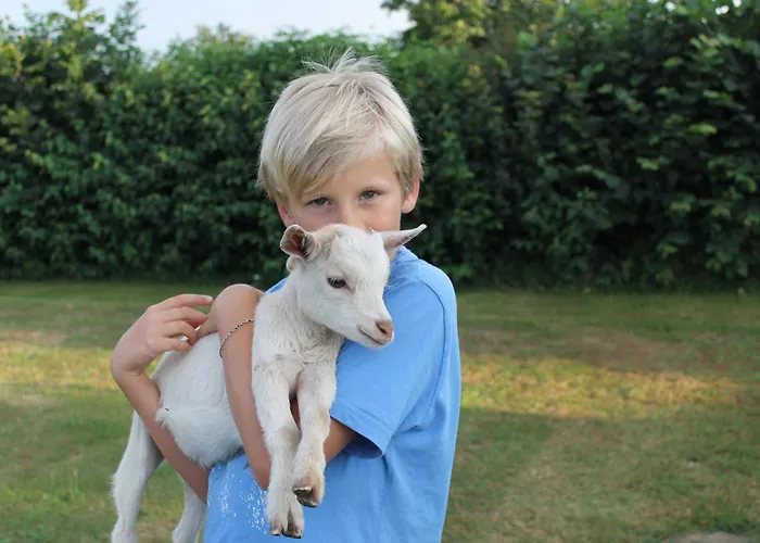 Vakantiehuis Mammaloewagen Super De Luxe Heythuysen
