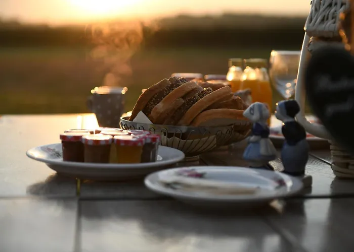 Mammaloewagen Super De Luxe Vakantiehuis