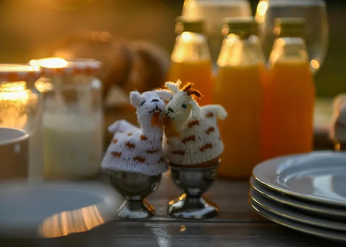 Mammaloewagen Super De Luxe